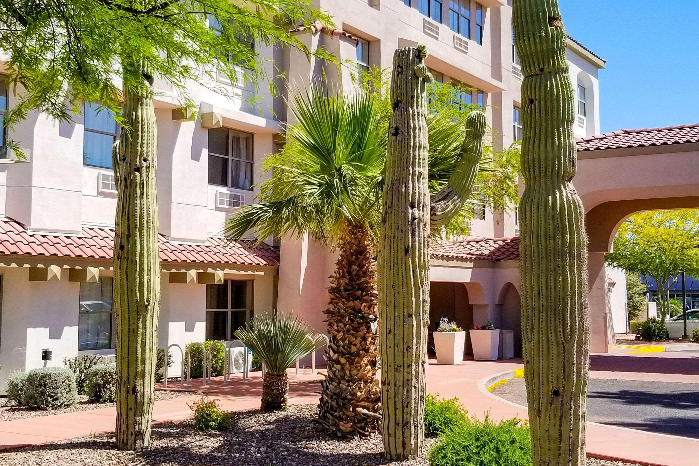 Comfort Inn & Suites Tempe Phoenix Sky Harbor Airport ภายนอก รูปภาพ